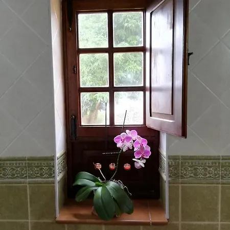 Casa Pura, Pure Nature And Liberty * بوينافيستا ديل نورتي